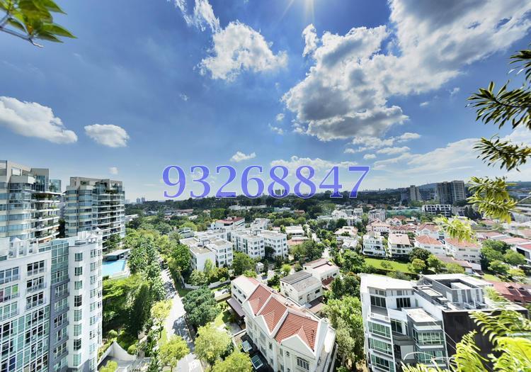 Proximo (D10), Apartment #141943702